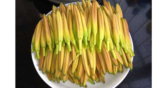 用黃花菜烘干機烘干后的黃花菜好吃嗎？