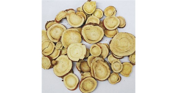 中藥材烘干機(jī)適用介紹 中藥材烘干機(jī)如何實(shí)現(xiàn)藥材烘干