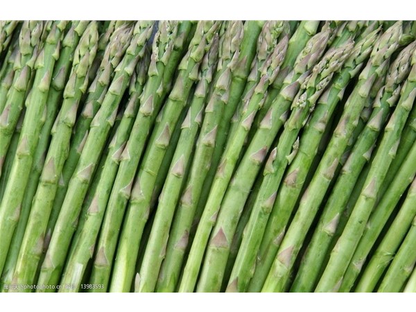 脫水蔬菜干燥機的應用范圍介紹