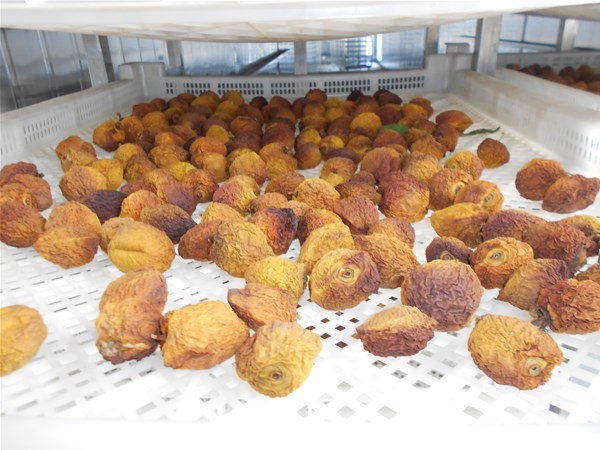 果蔬烘干房成為廣大農(nóng)民朋友的烘干主力設(shè)備